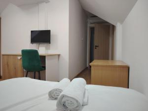 Televiisor ja/või meelelahutuskeskus majutusasutuses Hotel Parc Geoagiu Bai