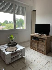 Billede fra billedgalleriet på Petit nid sur le Bassin Arcachonnais i Biganos