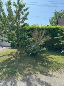 Gallery image of Lak4U in Balatonszárszó +3 photos