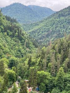 Fotografie z fotogalerie ubytování Borjomi inn Cottages v destinaci Bordžomi