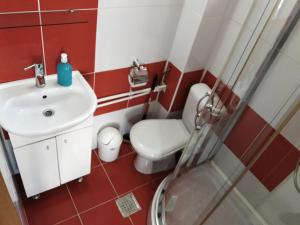 a bathroom with a toilet and a sink and a shower at Eforie Brio in Eforie Nord +15 photos
