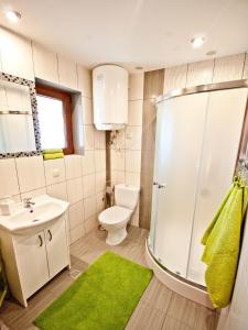 Koupelna v ubytování Apartamenty i Domki Biały Dunajec
