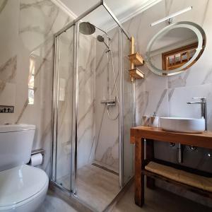 a bathroom with a shower and a toilet and a sink at To Pefko - Mezzanines - in Meyisti