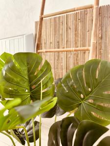 Φωτογραφία από το άλμπουμ του Amour l Romance l Chambre Secrète l Balnéo Massage σε Rousson