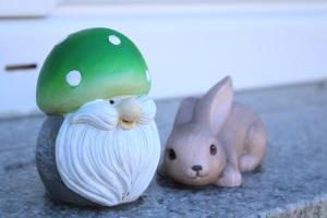 Zvieratá v dovolenkovom dome alebo blízkom okolí