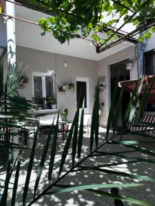 Giardino di Green ToniC Hostel