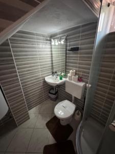 a small bathroom with a toilet and a sink at Apartmani Luciano in Novalja