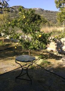 Φωτογραφία από το άλμπουμ του Ktima Agrilia 2 στα Βιγκλάφια