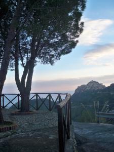 uma árvore e uma cerca com vista para o oceano em Rifugio dei tre Pini em Castelmola