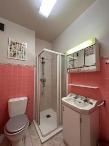 a bathroom with a toilet and a shower and a sink at Appartement Le Palais in Vernet-les-Bains