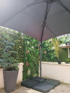 Vườn quanh Disneyland Paris Studio avec Terrasse +20 ảnh