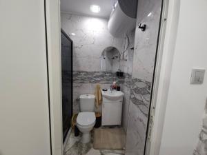 a bathroom with a toilet and a sink at Къща за гости Ани in Chernomorets +23 photos