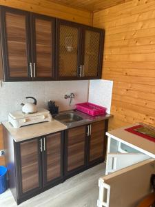 a kitchen with a sink and a counter top at Domki u Dorotki in Jantar