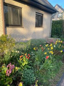 クサンテンにあるFerienhaus Magnolie Xantenの家の前の花園
