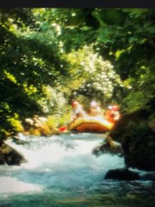 Φωτογραφία από το άλμπουμ του Blue Adria,Pisak Kroatien σε Pisak