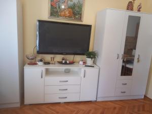 TV a/nebo společenská místnost v ubytování Apartman Andrija