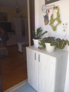Kuchyň nebo kuchyňský kout v ubytování Apartman Andrija