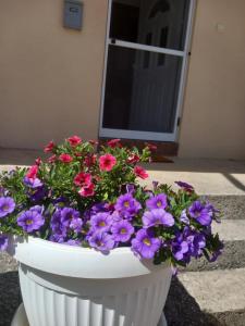 Zahrada ubytování Apartman Andrija