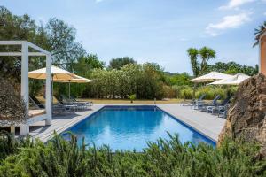 a swimming pool with chairs and umbrellas next to at Finca Conies Romaní in Manacor