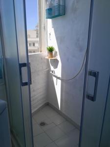a bathroom with a shower with a plant on a window at Stefanos' Art House in Halikounas