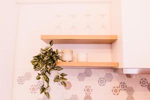 a shelf in a kitchen with glasses and a plant at Riverside White Apartment in Satu Mare +16 photos
