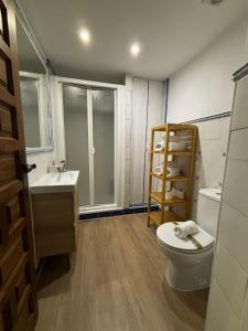 une salle de bain avec toilettes, lavabo et douche dans l'établissement Santa Justa Toledo Centro, à Tolède