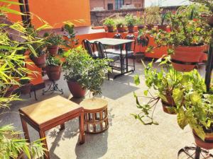 Imagem da galeria de Trekkers Home em Catmandu