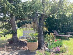 Zahrada ubytování ChezMathilde à LIMOUX + 17 fotografií