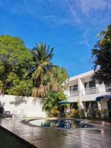 a resort with a palm tree and a swimming pool at Hotel Holly in Mérida