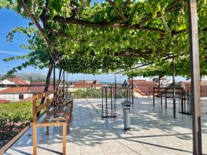 una fila de bancos de parque sentados bajo un árbol en Xhou's Home, en Shkodër
