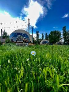 GyulagarakにあるTevani Glampingの建物のある草原の花