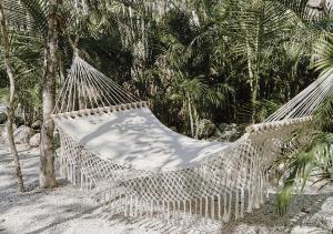 Fotografie z fotogalerie ubytování Una Vida v destinaci Tulum