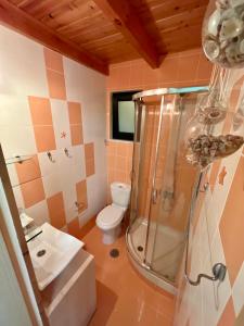 a bathroom with a shower and a toilet and a sink at Villa Georgia in Kastrosikia +46 photos