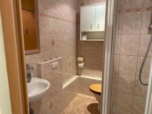 a bathroom with a sink and a toilet at Apartmány 2kk u Fakultní nemocnice Volné parkovaní in Hradec Králové