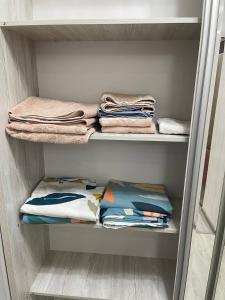 een inloopkast met handdoeken en opgevouwen handdoeken bij Elet Haus 197 in Sergeli +6 foto's