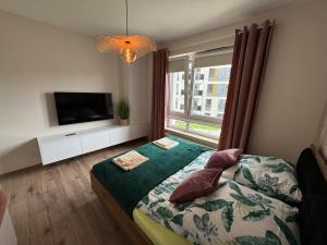 a bedroom with a bed and a tv and a window at Apartament w Zieleni in Toruń