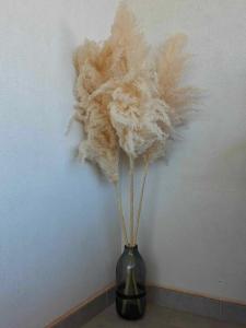 a vase with feathers in it sitting on a table at Mantalena's house in Antiparos