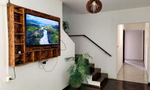 a television hanging on a wall with a plant at Pousada Barão Real in São Lourenço