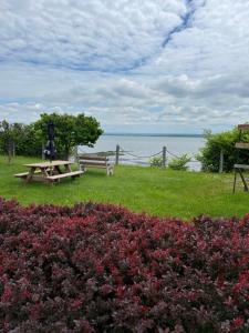 a park with a picnic table and a view of the water at Chalets Plage St-Jean 2 in Saint-Jean