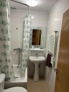 a bathroom with a sink and a shower and a toilet at Pensiunea Patricia in Oeşti-Pămînteni