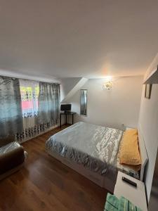 a bedroom with a large bed and a window at Pensiunea Patricia in Oeşti-Pămînteni