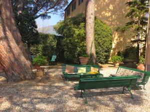un grupo de bancos verdes sentados junto a un árbol en Villa Coli en Calci