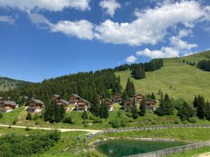 a group of houses on a hill next to a lake at CHALET GAMSBOCK Koralpe in Elsenbrunn