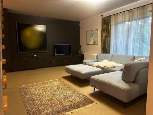 a living room with a couch and a tv at Pirita Beach Villa in Tallinn