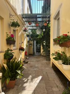 an alley with potted plants and flowers in a building at Penzion 4 Dvory in České Budějovice