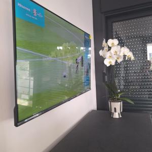 a flat screen tv on a wall with a vase of flowers at Apartments Branka in Zablaće