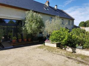 a house with potted plants in front of it at Grenier de l'IRIS in Sainte-Croix-sur-Mer