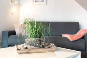 Posezení v ubytování Ferienwohnung Sommerwind