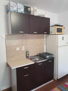 Kuchyň nebo kuchyňský kout v ubytování Casa Maksai