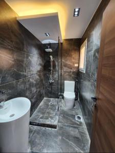 a bathroom with a toilet and a sink at Pharaonic Pyramids Inn & jacuzzi in Cairo +50 photos